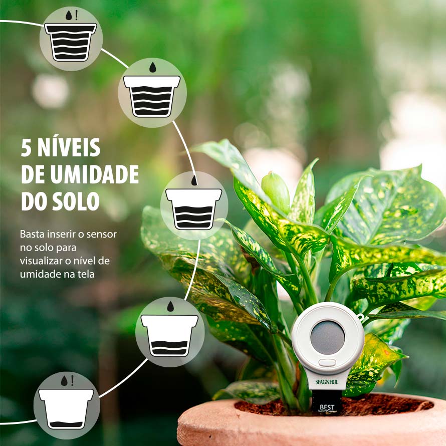 Evitando o excesso e a falta de água: um guia prático - inspiração 1