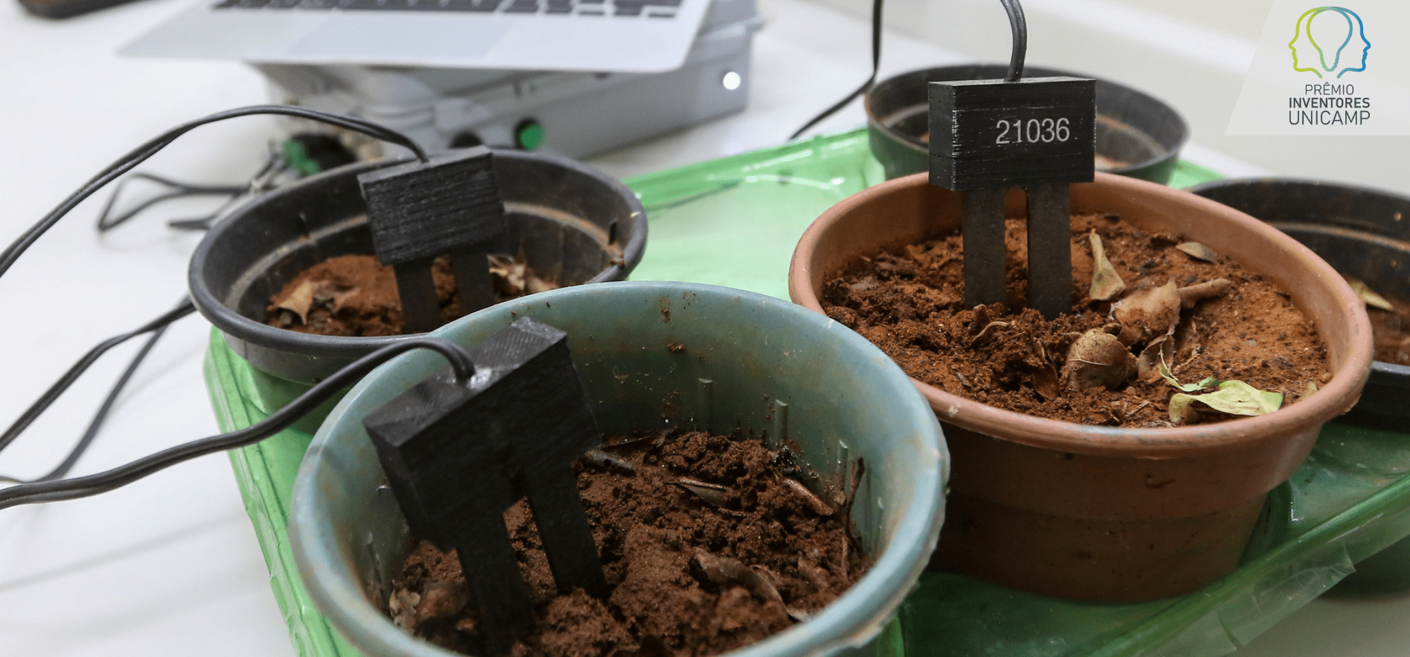 Evitando o excesso e a falta de água: um guia prático - inspiração 2