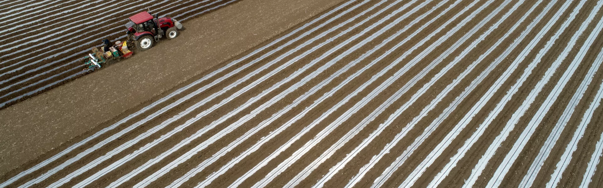 Evitando Erros Comuns: Dicas de Quem Já Fez Muito - inspiração 2