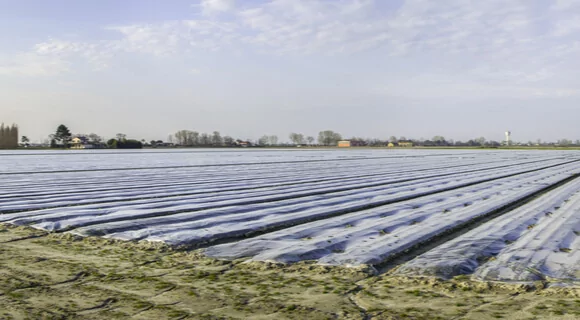 O Momento Certo é Crucial: Planejando a Solarização - inspiração 1