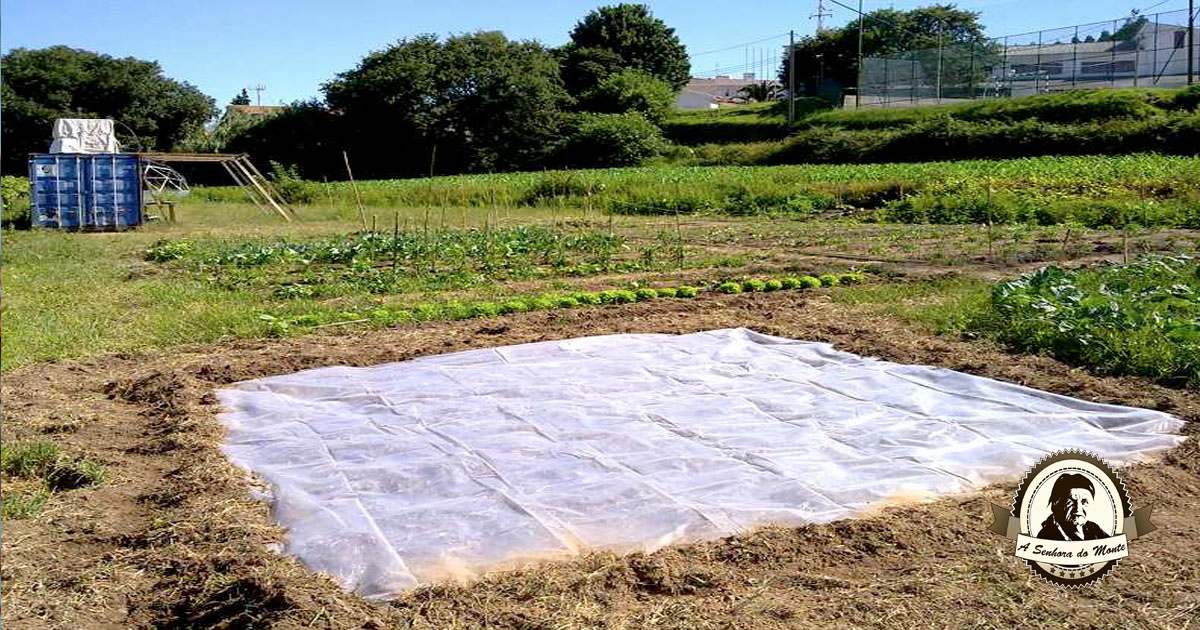 O Momento Certo é Crucial: Planejando a Solarização - inspiração 2