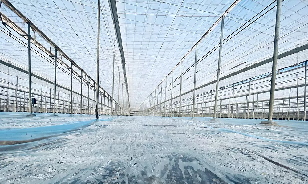 Instalação do Plástico: Garantindo a Vedação Perfeita - inspiração 1