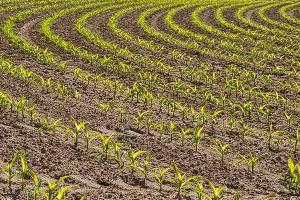 O Tempo de Espera: Paciência é a Chave do Sucesso - inspiração 1