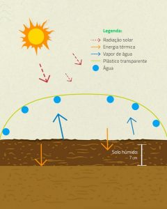 A Retirada do Plástico: O Que Esperar do Seu Novo Solo - inspiração 1