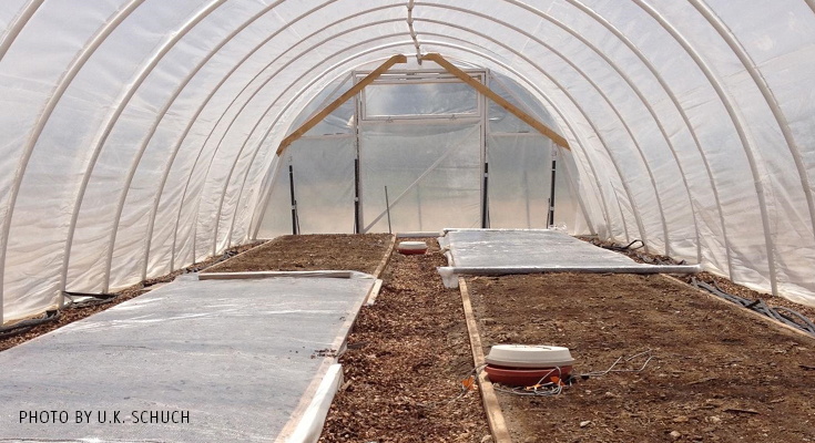 Benefícios Imediatos: Plantando em um Solo Livre de Problemas - inspiração 2