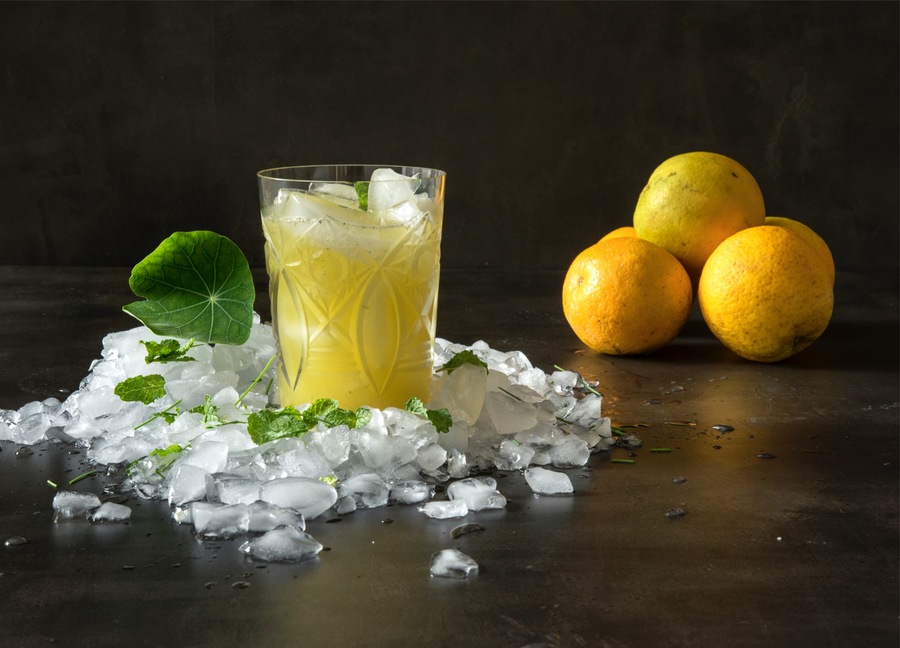 Sabor Refrescante: A Combinação Perfeita para Dias Quentes - inspiração 2