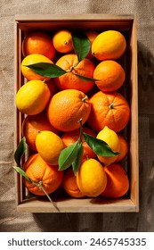 A Energia Que Você Sente: Combate à Fadiga e Bom Humor - inspiração 1