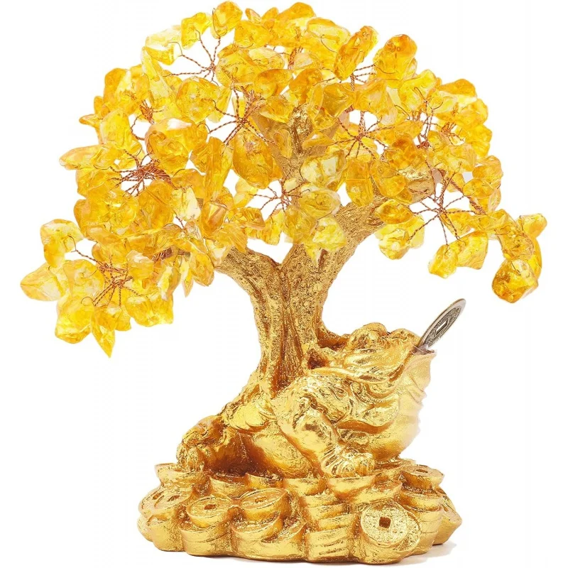 Onde Posicionar sua Laranjeira para Atrair Boas Vibrações - inspiração 1