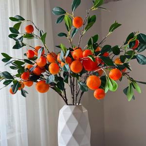 Onde Posicionar sua Laranjeira para Atrair Boas Vibrações - inspiração 2