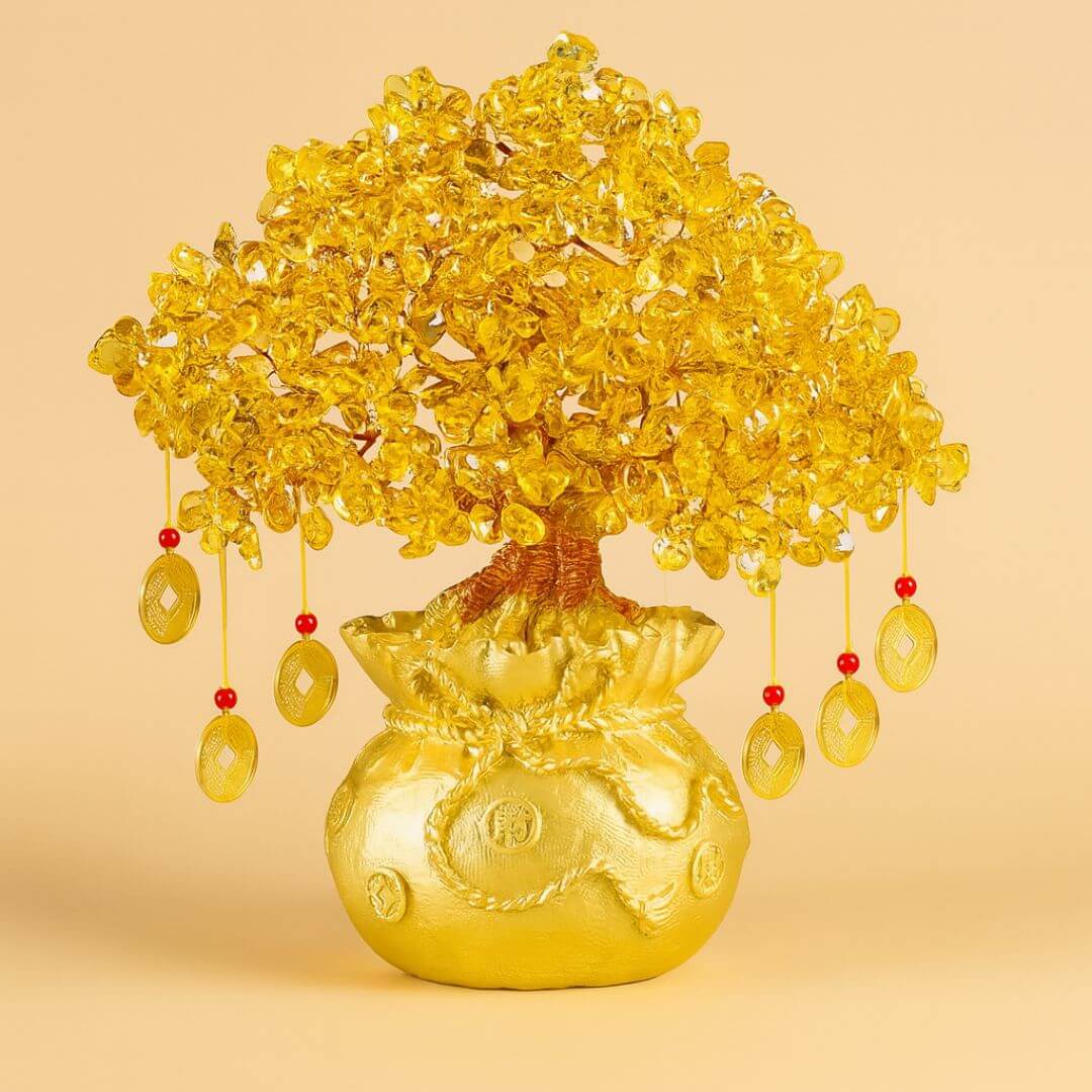 Cuidados Essenciais para uma Laranjeira Saudável e Energizada - inspiração 2