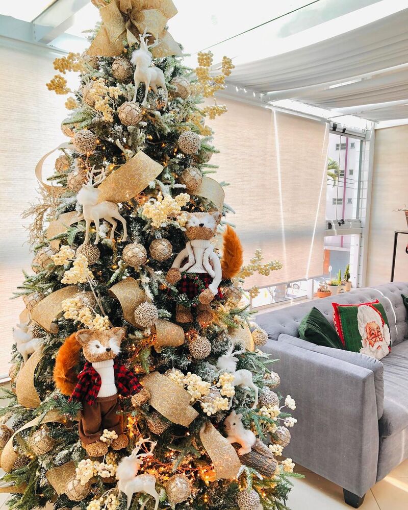 Fotos de Pets Adoráveis: Um Cantinho Especial para os Membros Peludos da Família - inspiração 1