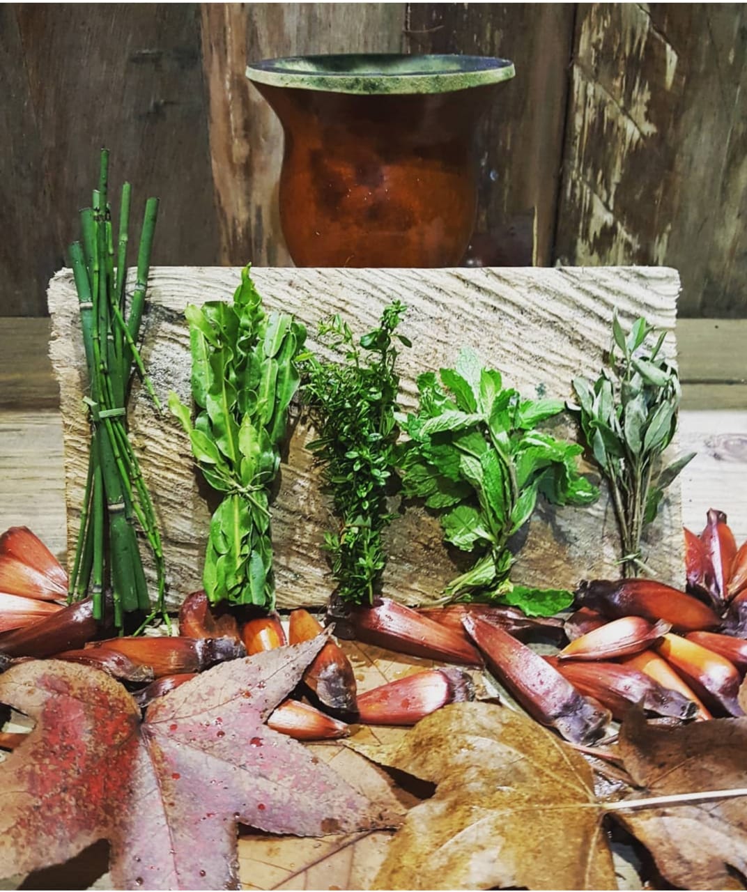 Guia Completo: Como Preparar um Tereré Perfeito em Casa