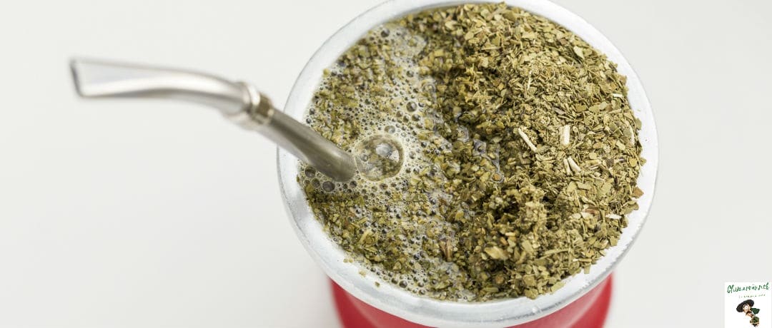 Tereré e Chimarrão: Entenda as Diferenças e Escolha Sua Bebida Preferida