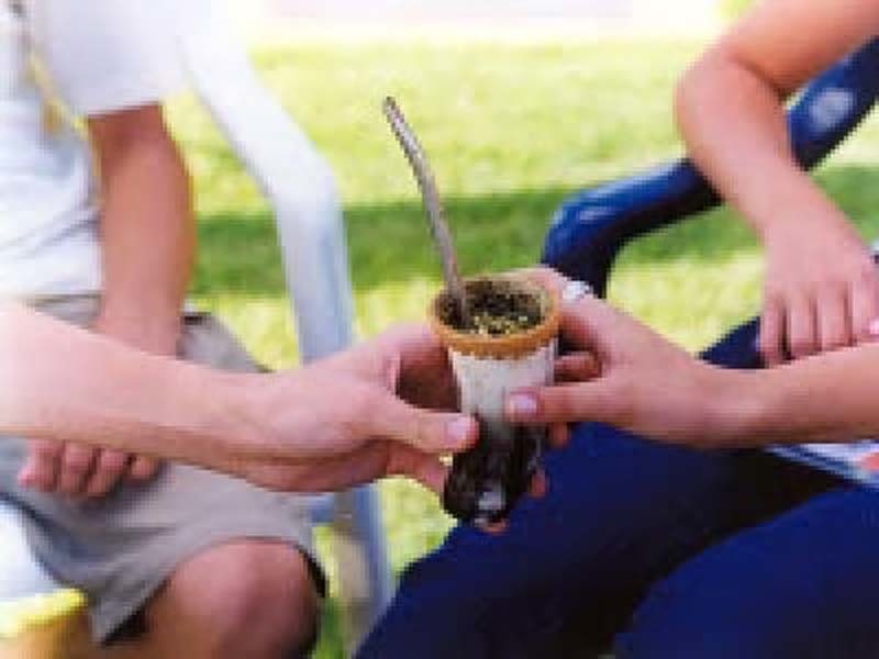 A roda de Terere a tradicao social que une amigos e familias