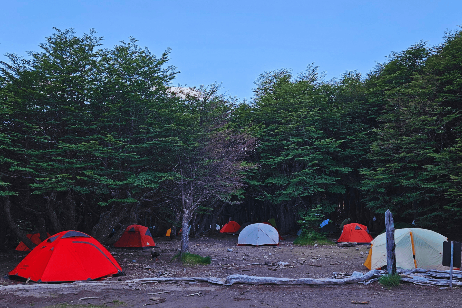 Essenciais para Acampar em Casa: Lista de Itens Indispensáveis