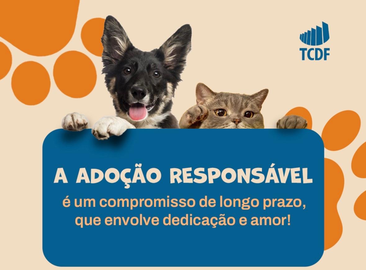 adoção responsável de pets