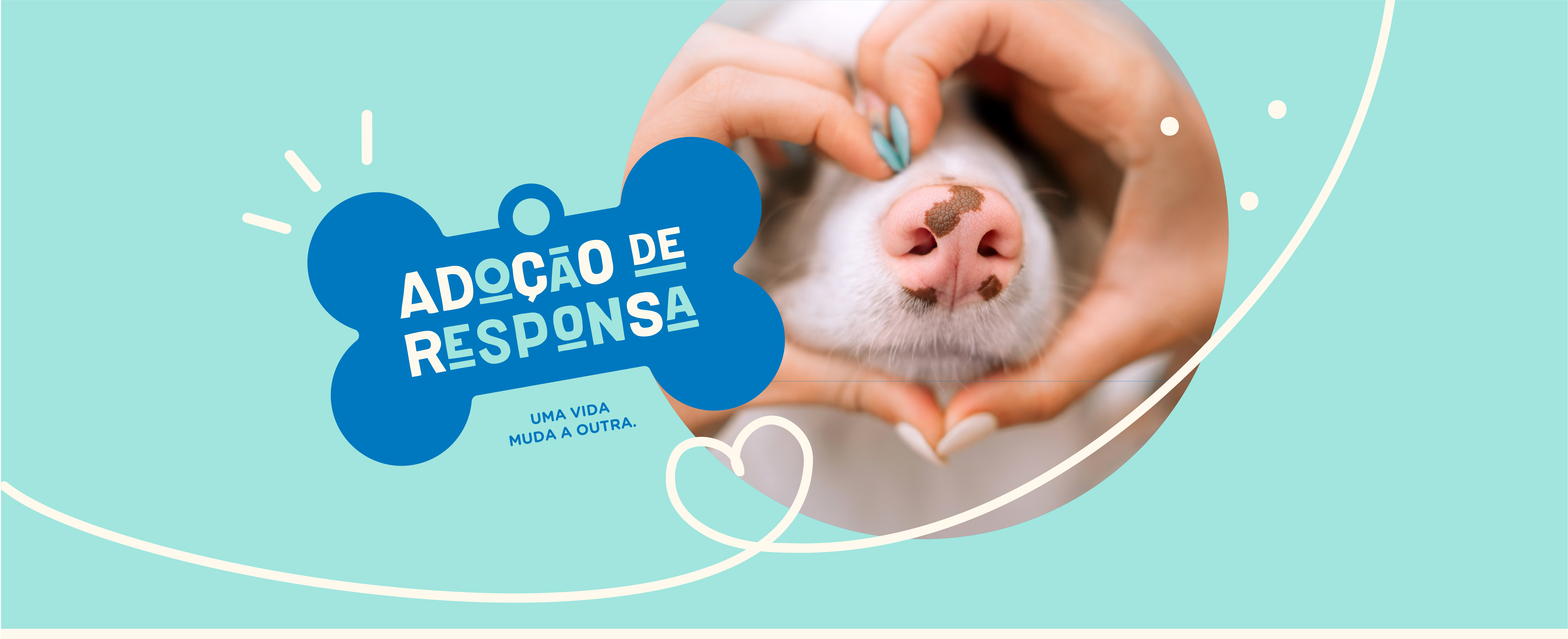 Guia Completo: Como Preparar Sua Casa para a Chegada de um Pet Adotado