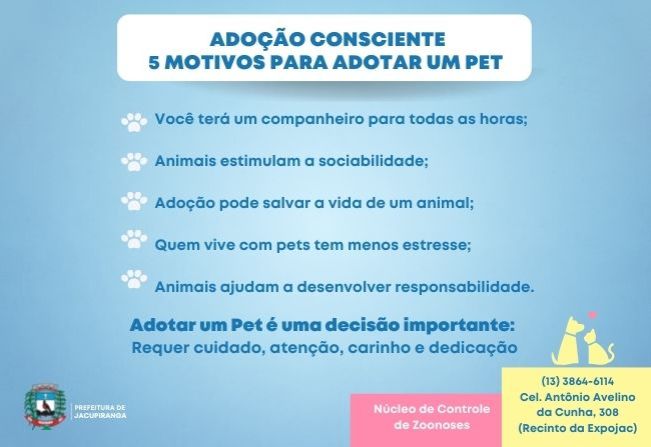 Verdades e Sua Importância na Adoção Responsável