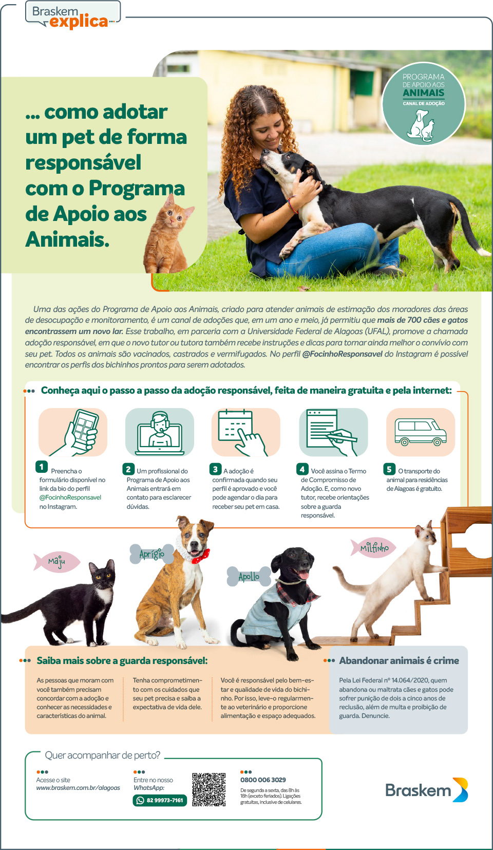 Direitos dos Animais no Brasil: O Que Diz a Lei de Crimes Ambientais?