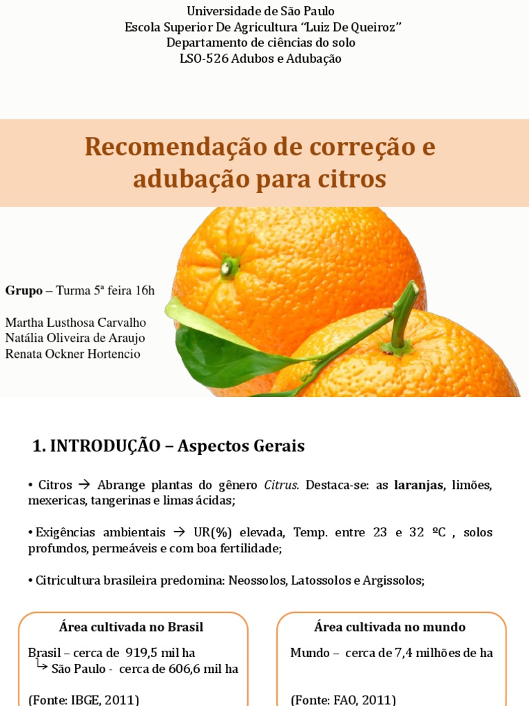 Manejo Nutricional de Citros: Cronograma Ideal para Cada Fase