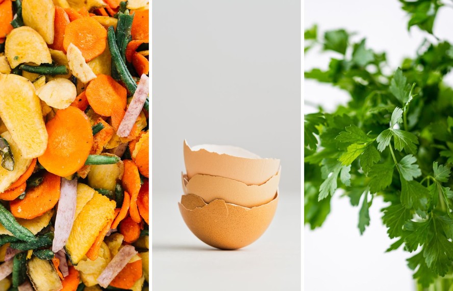 Esterco de Galinha: O Segredo para Laranjeiras Mais Produtivas