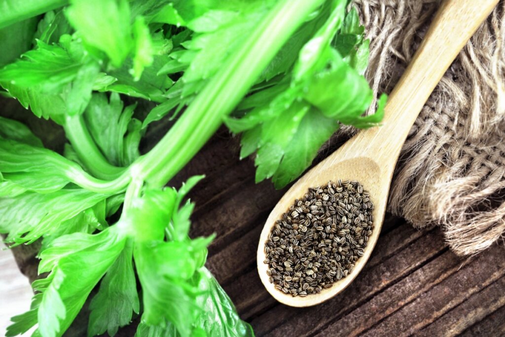 Aipo Mais Que Um Vegetal