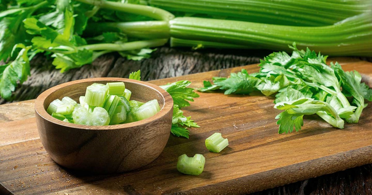 5 ideias de títulos:
1. Aipo: O Superalimento Versátil para sua Saúde e Cozinha
2. Descubra os Benefícios Incríveis do Aipo para o Corpo
3. Do Mirepoix ao Detox: Como Utilizar o Aipo em Diversas Receitas
4. As Variedades de Aipo e Como Aproveitar Cada Parte
5. Aipo: A Rainha do Desinchaço e Seus Segredos Culinários