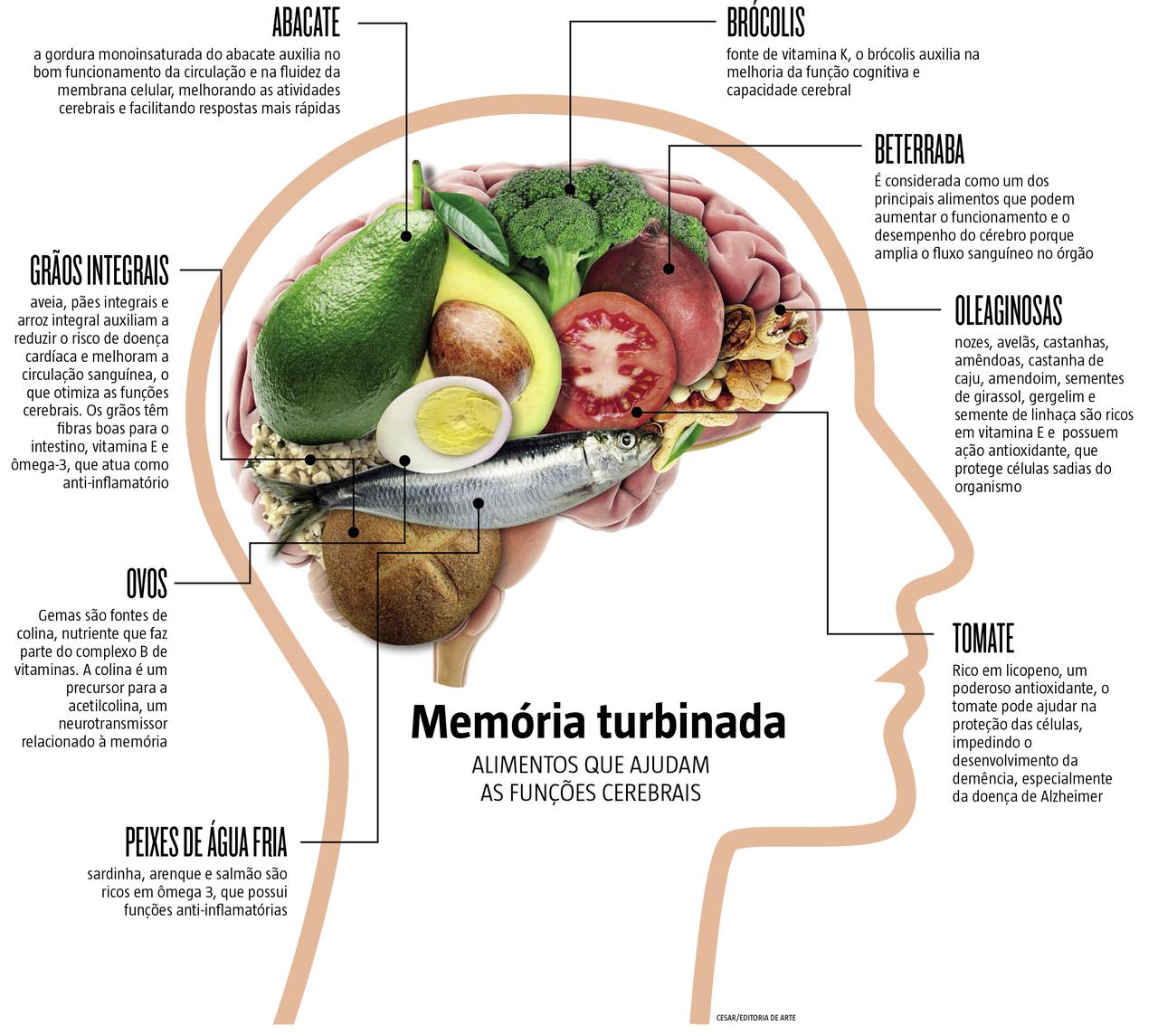 Receitas com Ômega-3 para um Cérebro Mais Ativo