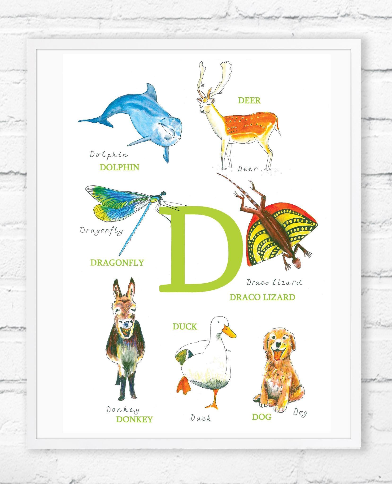 erros comuns ao identificar animais com a letra d