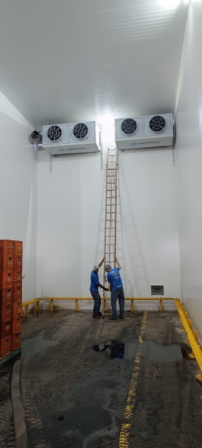 Tecnologias de Monitoramento para Câmaras Frias de Laranja