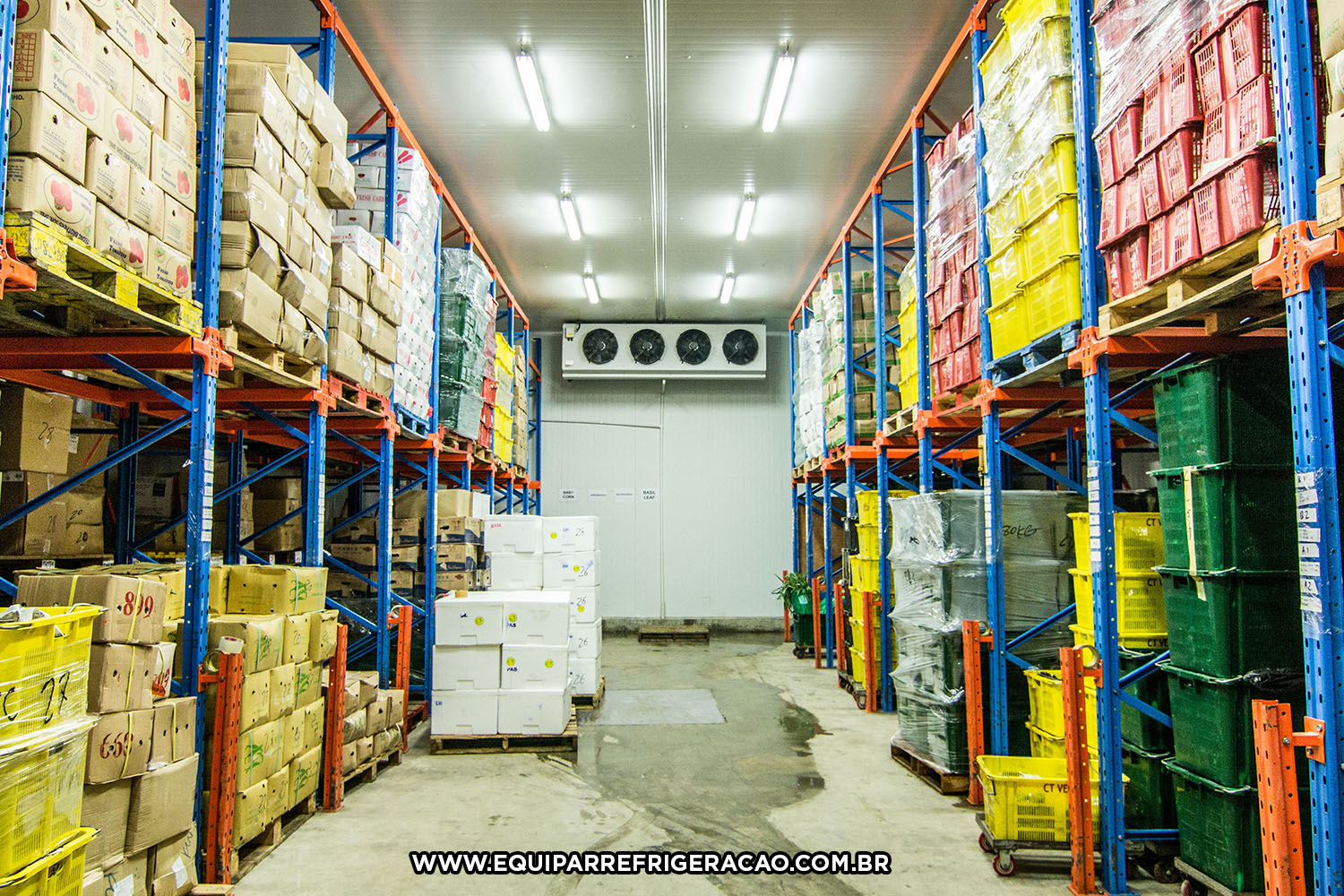 Como Evitar Injúrias por Frio em Laranjas