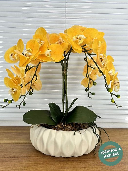 Guia Completo: Escolhendo o Melhor Material para sua Orquídea Artificial