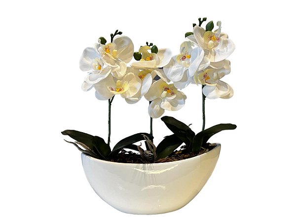 Guia Completo: Escolhendo o Melhor Material para sua Orquídea Artificial