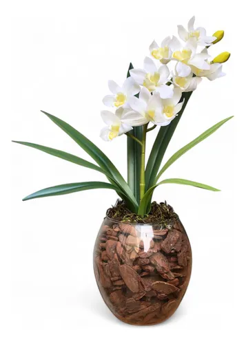 Orquídeas Artificiais: Onde Encontrar os Melhores Preços e Modelos em 2024