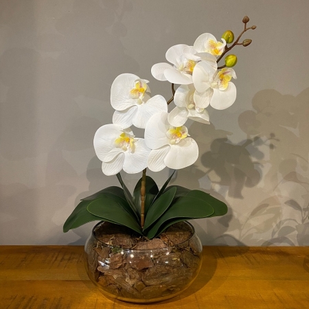 Orquídeas Artificiais: Onde Encontrar os Melhores Preços e Modelos em 2024