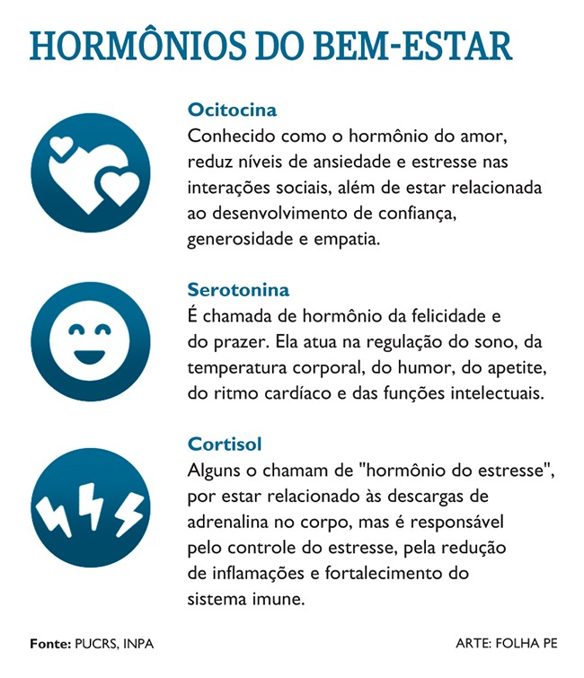 Sinais de que seu pet precisa de ajuda psicológica