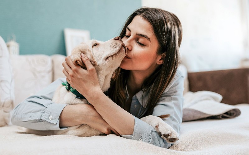 Humanização de pets: o limite entre amor e prejuízo