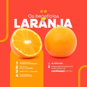 Laranja para o Coração e Digestão: Mitos e Verdades
