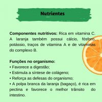 Laranja e Imunidade: Como a Vitamina C Protege Seu Corpo