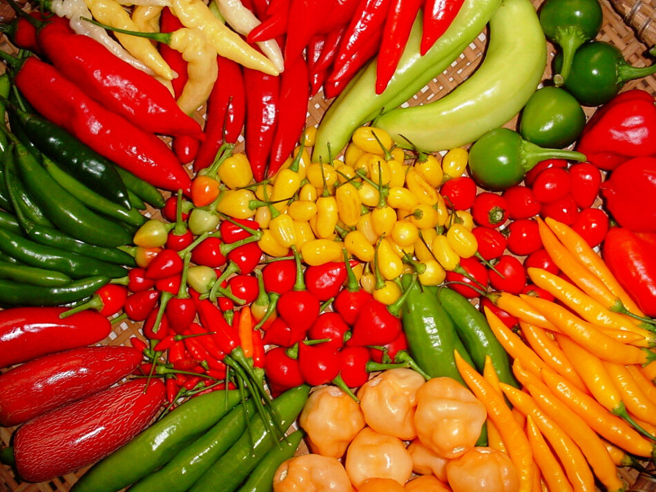 Desvendando Mitos: Pimenta e Doenças Crônicas