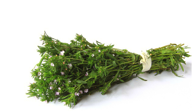 Chá de Segurelha: Guia Completo de Preparo e Benefícios para a Saúde