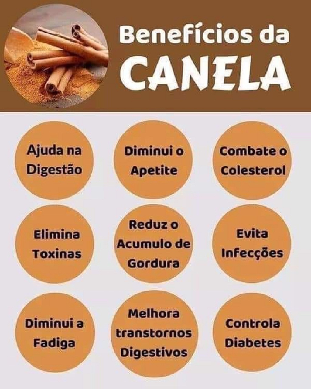 Chá de Canela: Guia Completo de Benefícios e Como Preparar