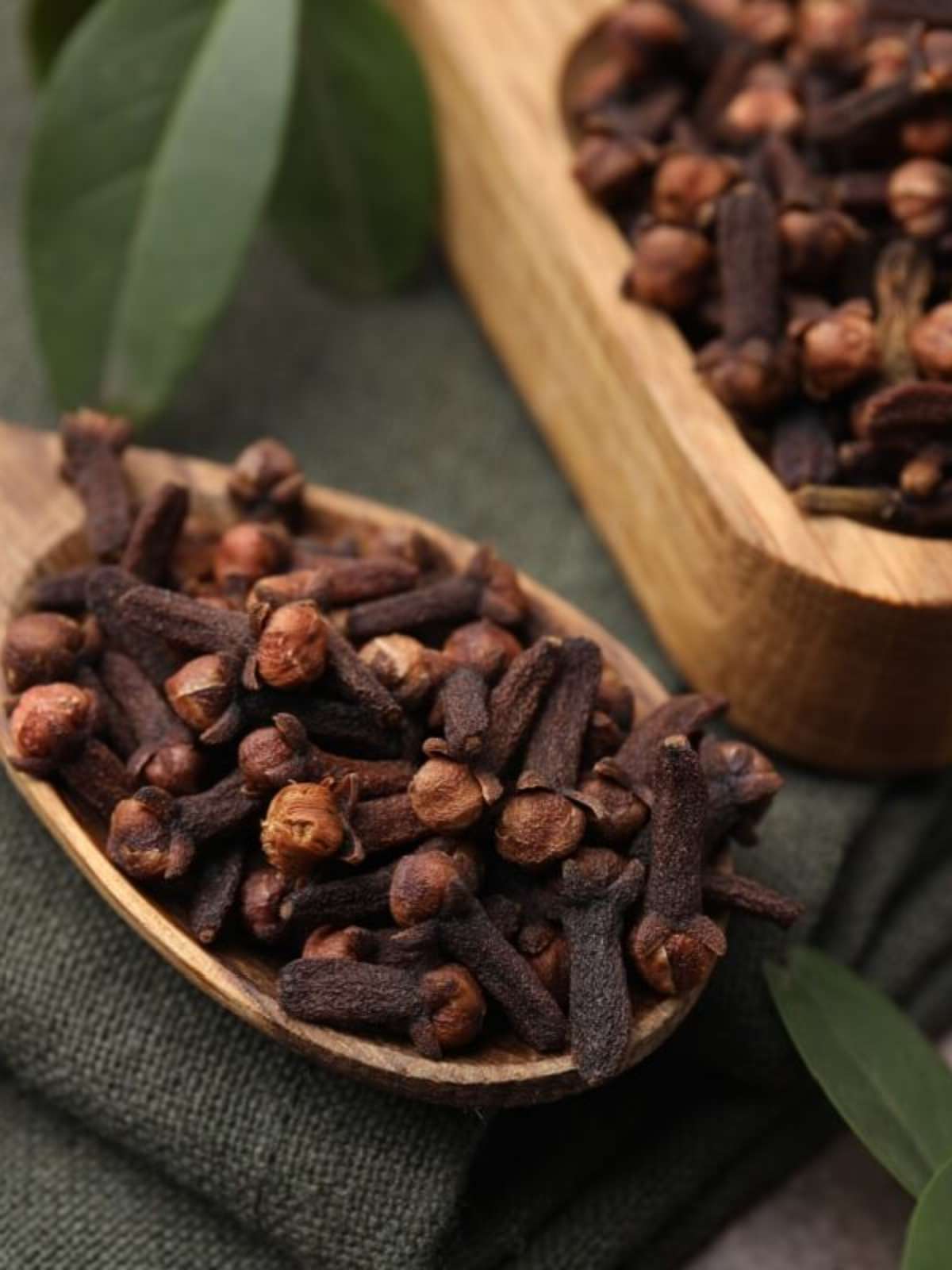 Benefícios do cravo-da-índia para a saúde