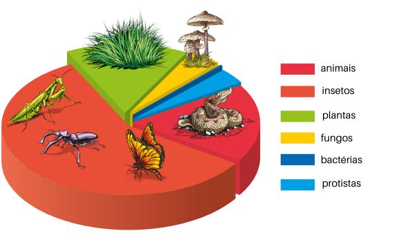 melhores épocas para visitar parque estadual do cantão