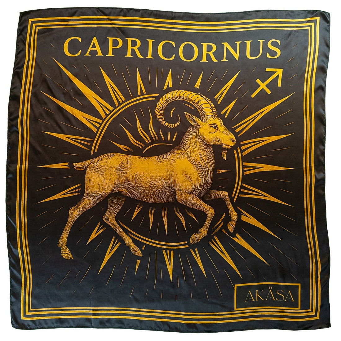 Desafios e Pontos Fortes de Capricórnio: Equilibrando Seriedade e Leveza