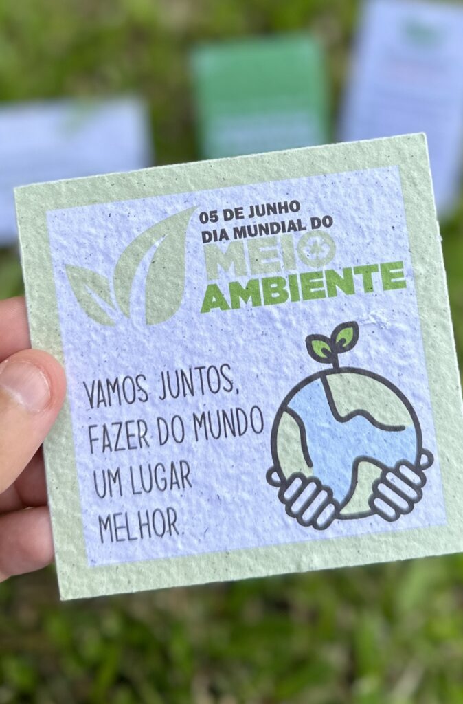 Óleo de Cártamo e Vitamina E: A Dupla Perfeita para Ação Antioxidante?