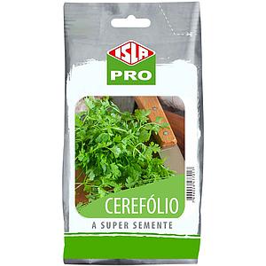 Além da Salsinha: 7 Ervas Essenciais para sua Cozinha