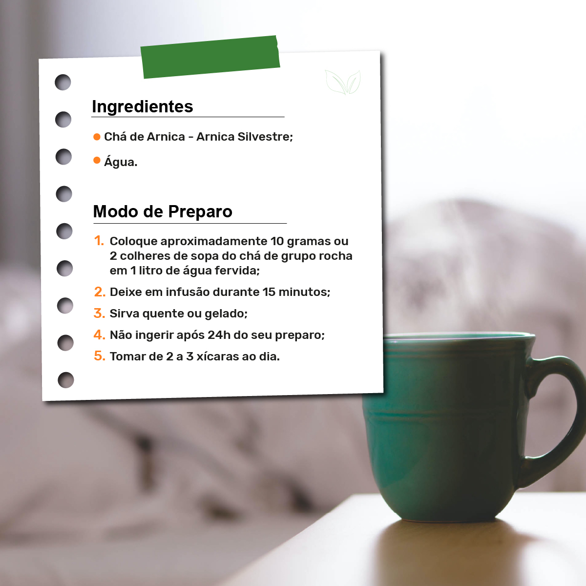 Como identificar a Solidago chilensis (arnica brasileira) e seus usos