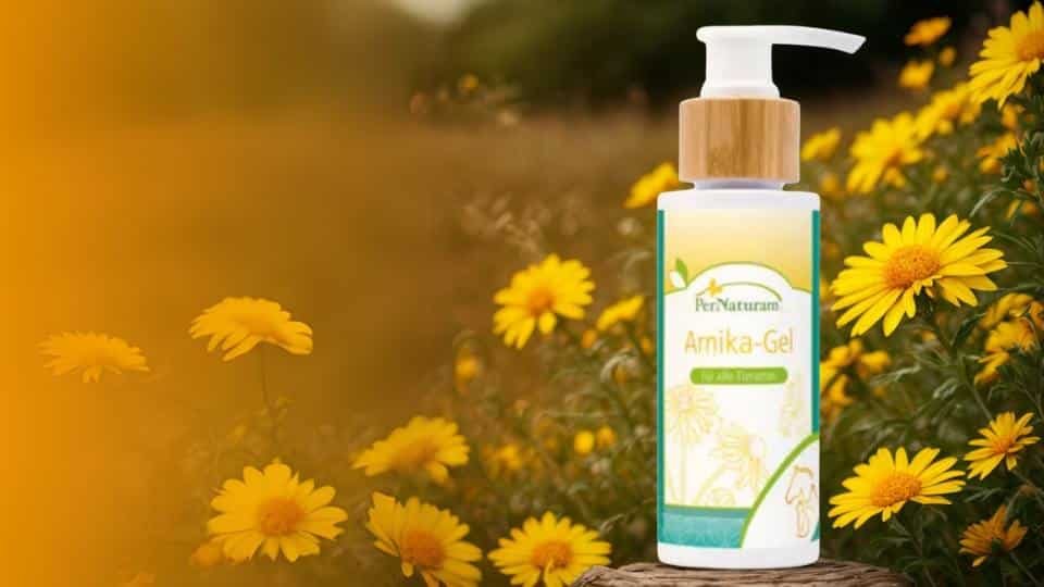 Arnica para atletas: Recuperação muscular e prevenção de lesões