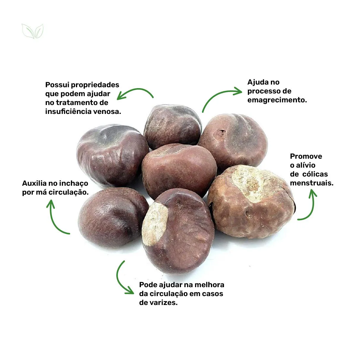 5 ideias de títulos:
1. Chá de Castanha da Índia: Benefícios e Cuidados Essenciais
2. Má Circulação: Como o Chá de Castanha da Índia Pode Ajudar?
3. Riscos e Contraindicações do Chá de Castanha da Índia
4. Preparo Correto do Chá de Castanha da Índia para Alívio de Sintomas
5. Castanha da Índia vs. Cápsulas: Qual a Melhor Opção para a Circulação?
